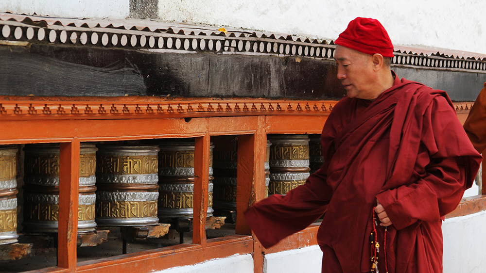 Cultivating Virtues and Wisdom